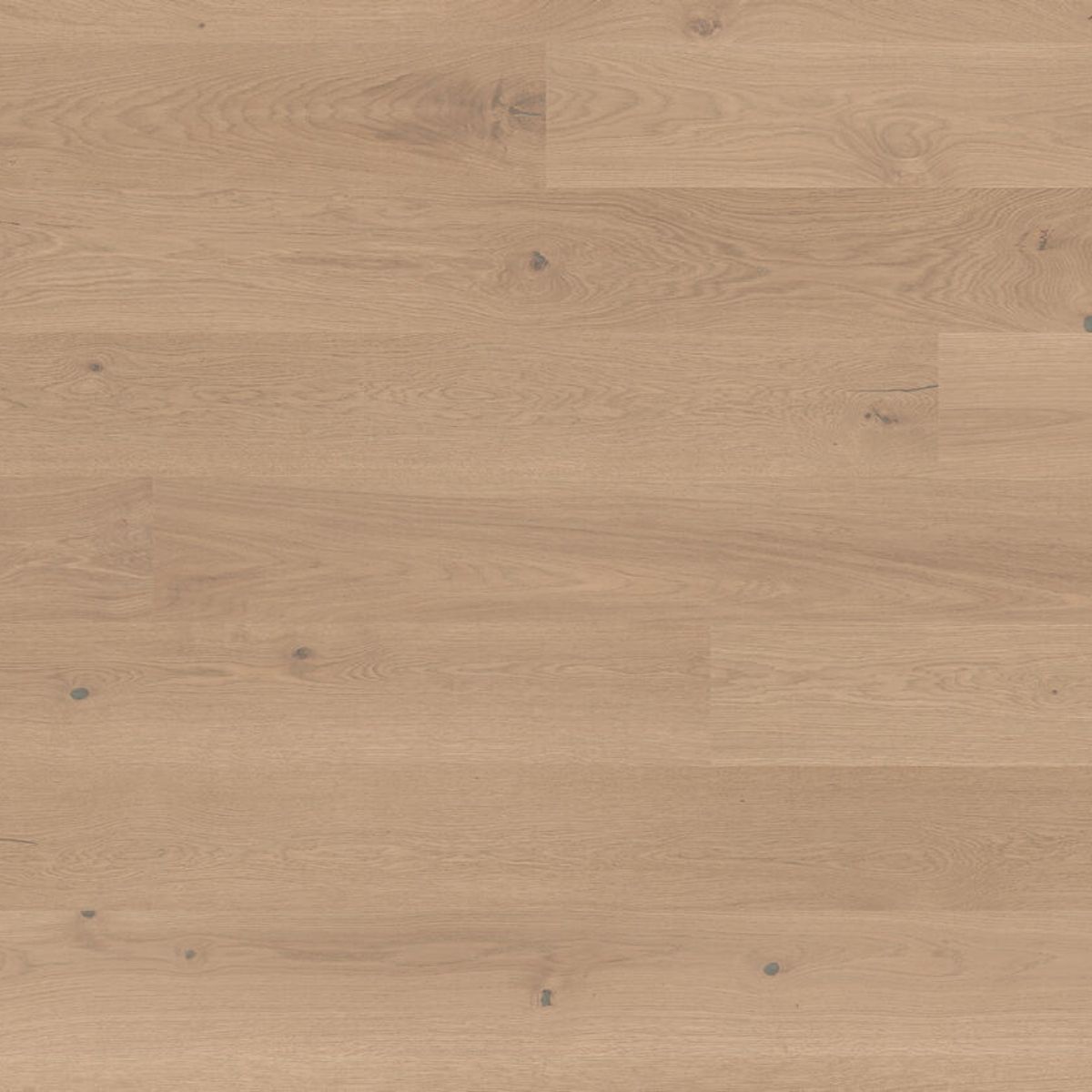 Trægulv Grace Eg beige cashmere plank