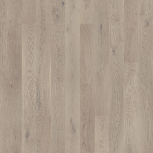 Trægulv Grace Eg grey Chiffon plank